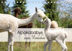 Alpakababys zum Verlieben (Tischkalender 2023 DIN A5 quer)