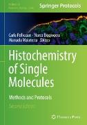 Histochemistry of Single Molecules