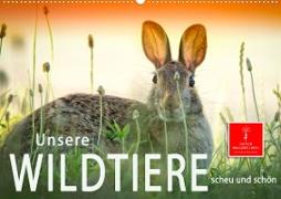 Unsere Wildtiere - scheu und schön (Wandkalender 2023 DIN A2 quer)