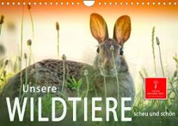 Unsere Wildtiere - scheu und schön (Wandkalender 2023 DIN A4 quer)
