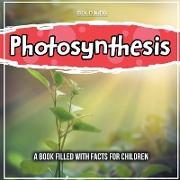 Photosynthesis: The Science Behind This - Facts For Children