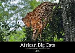 African Big Cats (Wall Calendar 2023 DIN A3 Landscape)