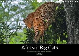 African Big Cats (Wall Calendar 2023 DIN A4 Landscape)