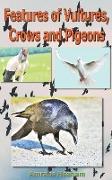 Features of Vultures, Crows and Pigeons