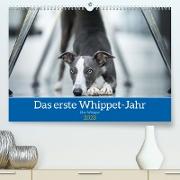 Das erste Whippet-Jahr (Premium, hochwertiger DIN A2 Wandkalender 2023, Kunstdruck in Hochglanz)