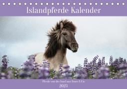 Islandpferde Kalender (Tischkalender 2023 DIN A5 quer)