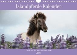 Islandpferde Kalender (Wandkalender 2023 DIN A4 quer)