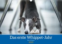 Das erste Whippet-Jahr (Wandkalender 2023 DIN A3 quer)