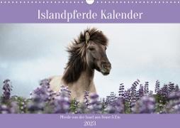 Islandpferde Kalender (Wandkalender 2023 DIN A3 quer)