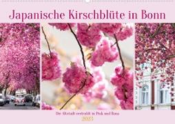 Japanische Kirschblüte in Bonn (Wandkalender 2023 DIN A2 quer)