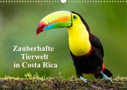Zauberhaft Tierwelt in Costa Rica (Wandkalender 2023 DIN A3 quer)
