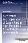 Acceleration and Propagation of Cosmic Rays in High-Metallicity Astrophysical Environments
