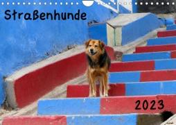 Straßenhunde 2023 (Wandkalender 2023 DIN A4 quer)