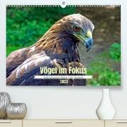 Vögel im Fokus - Ausdrucksstarke Vielfalt in der Vogelwelt (Premium, hochwertiger DIN A2 Wandkalender 2023, Kunstdruck in Hochglanz)