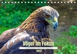 Vögel im Fokus - Ausdrucksstarke Vielfalt in der Vogelwelt (Tischkalender 2023 DIN A5 quer)