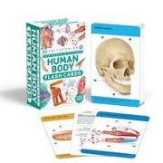 Our World in Pictures Human Body Flash Cards