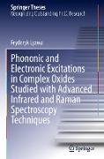 Phononic and Electronic Excitations in Complex Oxides Studied with Advanced Infrared and Raman Spectroscopy Techniques
