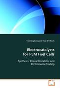 Electrocatalysts for PEM Fuel Cells