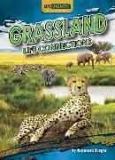 Grassland Life Connections