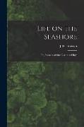 Life on the Seashore: or, Animals of Our Coasts and Bays
