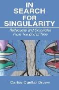 In Search For Singularity: Reflections and Chronicles From The End of Time