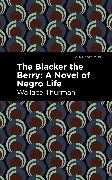 The Blacker the Berry: A Novel of Negro Life