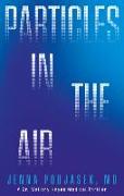 Particles in the Air: A Dr. Mallory Hayes Medical Thriller