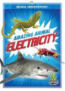 Amazing Animal Electricity