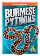 Burmese Pythons