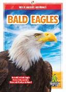 Bald Eagles