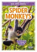 Spider Monkeys