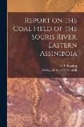 Report on the Coal Field of the Souris River, Eastern Assiniboia [microform]