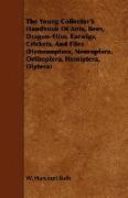 The Young Collector's Handbook of Ants, Bees, Dragon-Flies, Earwigs, Crickets, and Flies (Hymenoptera, Neuroptera, Orthoptera, Hemiptera, Diptera)