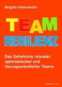 Team-Resilienz