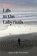 Life in the Labyrinth