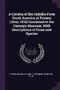 A Catalog of the Ophidia From South America at Present (June, 1916) Contained in the Carnegie Museum, With Descriptions of Some new Species