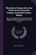 Sketches of Camp Life in the Wilds of the Aroostook Woods, Aroostook County, Maine: Fishing, Canoeing, Camping, Shooting and Trapping, Being True Stor
