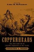 Copperheads: The Rise and Fall of Lincoln's Opponents in the North