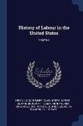 History of Labour in the United States, Volume 2