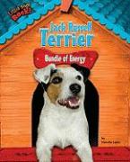 Jack Russell Terrier: Bundle of Energy