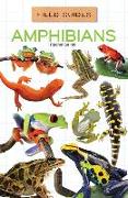 Amphibians