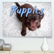 Puppies - Die niedlichsten Vierbeiner der Welt. (Premium, hochwertiger DIN A2 Wandkalender 2023, Kunstdruck in Hochglanz)