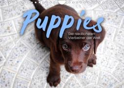 Puppies - Die niedlichsten Vierbeiner der Welt. (Wandkalender 2023 DIN A4 quer)