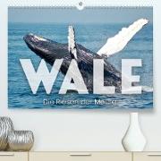 Wale - Die Riesen der Meere. (Premium, hochwertiger DIN A2 Wandkalender 2023, Kunstdruck in Hochglanz)