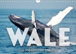 Wale - Die Riesen der Meere. (Wandkalender 2023 DIN A4 quer)
