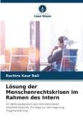 Lösung der Menschenrechtskrisen im Rahmen des Intern