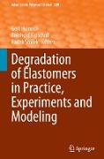 Degradation of Elastomers in Practice, Experiments and Modeling