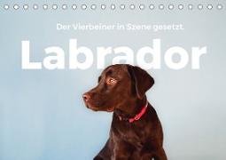 Labrador - Der Vierbeiner in Szene gesetzt. (Tischkalender 2023 DIN A5 quer)