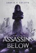 Assassins Below: Tales from Haven City