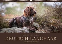 Passion Jagdhund - Deutsch Langhaar (Wandkalender 2023 DIN A2 quer)